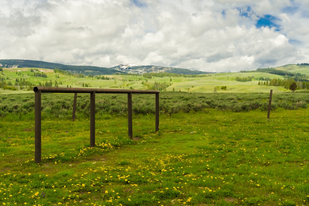 Exploring Melanie Olmstead’s Impact on Yellowstone